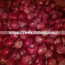 2017 Gansu  Red   Apple 