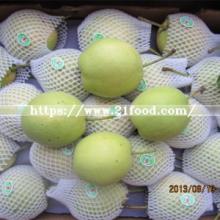 Hot Selling New Harvest Shandong Pear