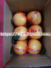 Top Quality China Fresh Honey Pomelo