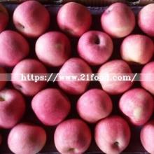 Supplying High Quality Sweet Red FUJI Apple