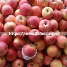 Paper Bagged Fresh Red FUJI Apple