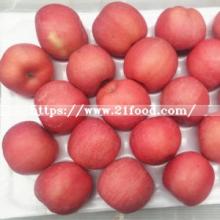 Fresh Blush Red FUJI Apple From China