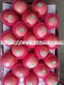 Plastic Paper Bagged FUJI Apple