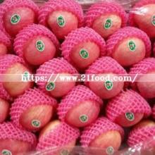 Fresh Red Apple From China Origin
