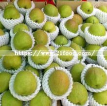 Fresh Red  Fragrant   Pear  (hongxiangsu  pear )