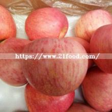 Fresh Russia Standard Big Size Red Paper Qinguan Apple