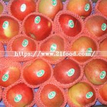 Fresh Red Gala Apple From China