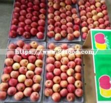 Super Quality Fresh Apple From Reliable Supplier