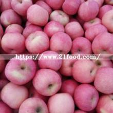 Hot Sale Fresh Red Apple