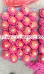Fruit Product Fresh Sweet Red FUJI Apple