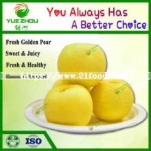 Fresh Golden Pear China New Crop Pear with Cheap Price for Sale