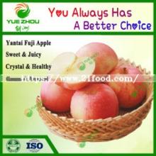 Exporting FUJI  Apple  Fresh Red  Apple   From   China  with Price