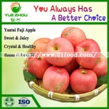 New Crop Fresh Apple Fresh FUJI Apple From China