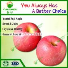2018 Fresh FUJI Apple From China with Cheap Price