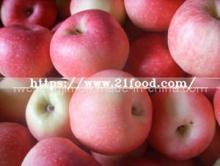 Delicious FUJI  Apple  2015 New Crop  Qixia   Apple 