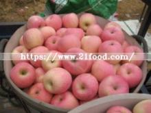 2015 Crop Good Delicous Apple