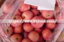 New Crop Fresh Apple Qixia Apple