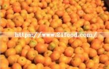 Samll Orange for Southeast Asia Market