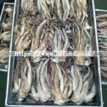 Good Quality  Frozen   Cut   Squid 