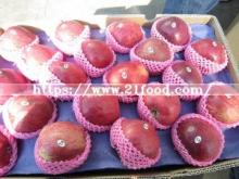New Crop Huaniu Apple