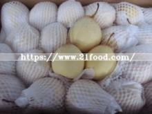  China  72/80/96/112/18kg /Carton  Ya   Pear 