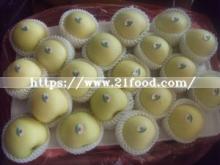 2019 New Crop Green Gala Fresh Apple From China