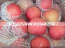 China Fresh FUJI Apple Which Is From The Own Plant