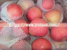2019 Fresh Fruits FUJI Apple Fresh Red Apple From China