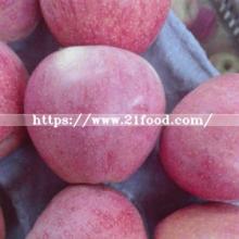 Chinese Fresh Red Qinguan Apple with Good Quality