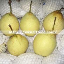 Hot Sale Fresh Ya Pear