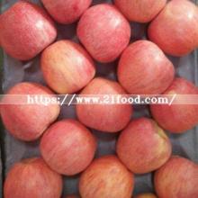 Good Quality of Fresh Red Qinguan Apple