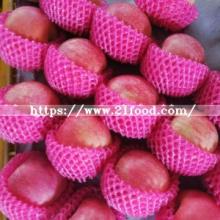 Good Quality Red Fuji Apple From Reliable Supplier