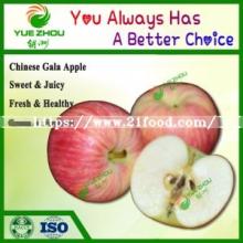 Good Taste Red Apple Fresh Gala Apple From China