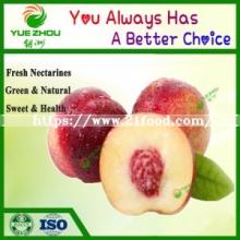 Hot Sale New Crop Peanut with Cheap Price From Shandong