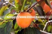 Dried Persimmon From Fuping