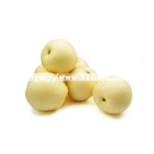 Fresh Asia Crown Pear