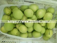 New Crop Fresh Shandong Pear