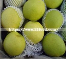New Crop of Shandong Pear (2018)