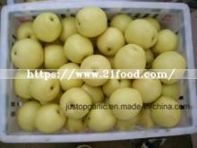 New Crop Fresh Asia/Crown Pear
