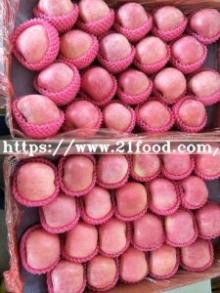 2017 Crop FUJI Apple