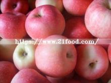 New Crop Gala Apple