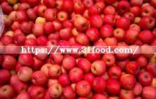 New Crop Chinese Apple