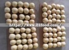 New Crop Exporting Standard Golden Pear