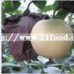 Delicious Snow Pear in Light Syrup
