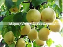  Fresh   Fruit   Chinese  Crown Pear