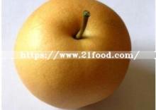 Chinese New Fruit Products Fresh Ya Pears with Good Quality