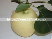 Chinese Fresh Sweet Snow Pear by New Crop 2018