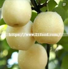 Fresh Fruit Golden Crown Pear in Hebei