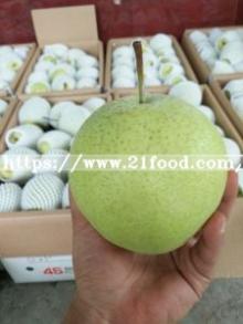Supply Chinese Pear/Ya Pear/Fresh Ya Pear /New Fresh Ya Pear