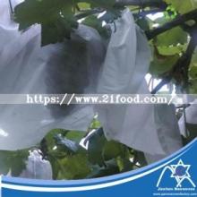 UV Grape  Bag  PP Spunbond Non-Woven  Fabric  Jc-012